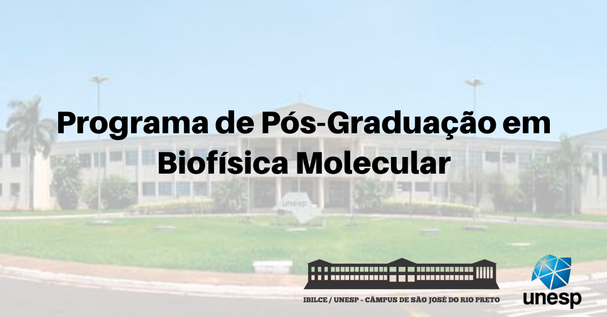 AVANÇANDO COM O RESTO - Departamento de Matemática - Unesp - Instituto de  Biociências, Letras e Ciências Exatas - Câmpus de São José do Rio Preto